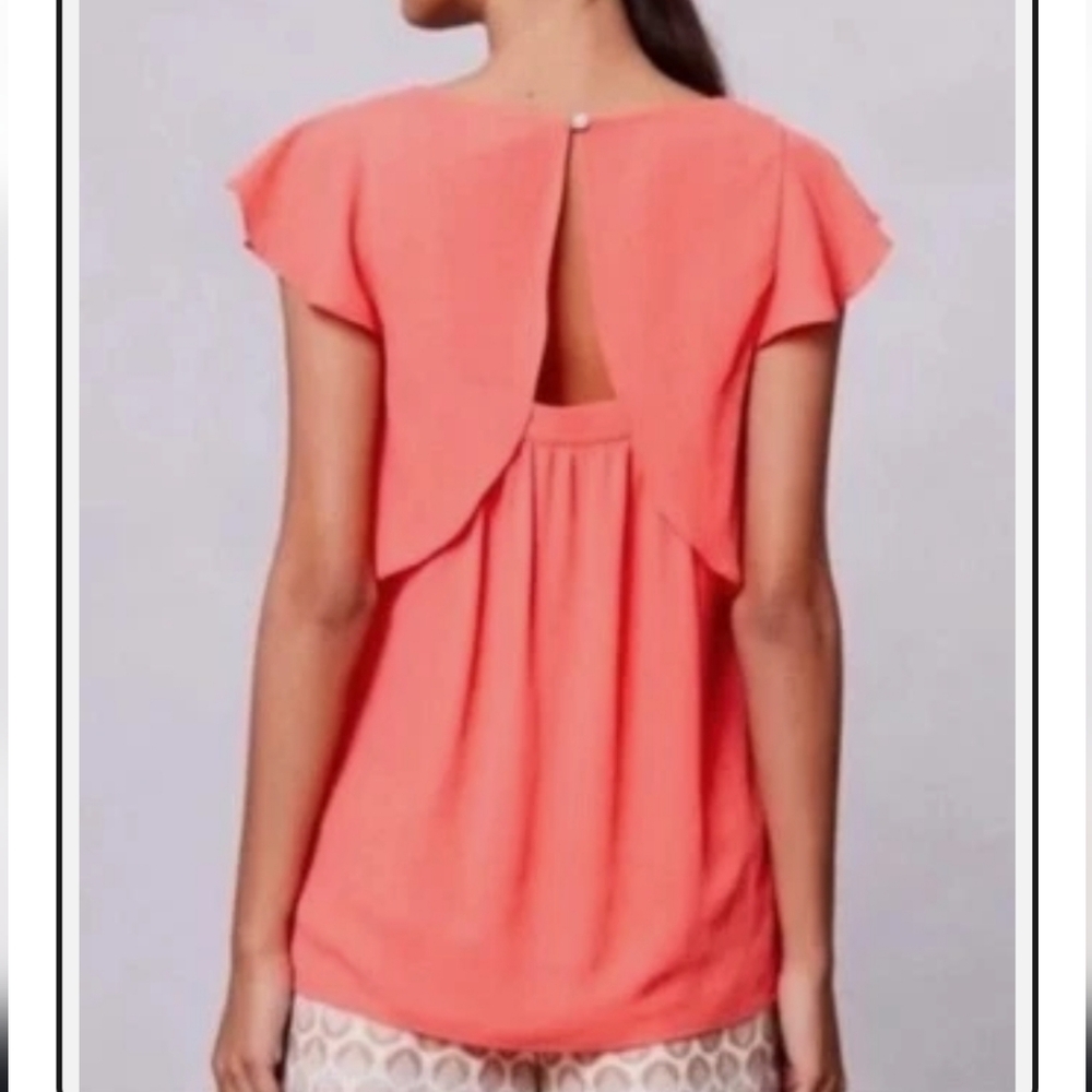 Anthropology top